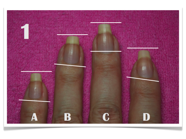 nail shapes nail shapes www.NailCareHQ.com How to File Nails the Square and Squoval Shape